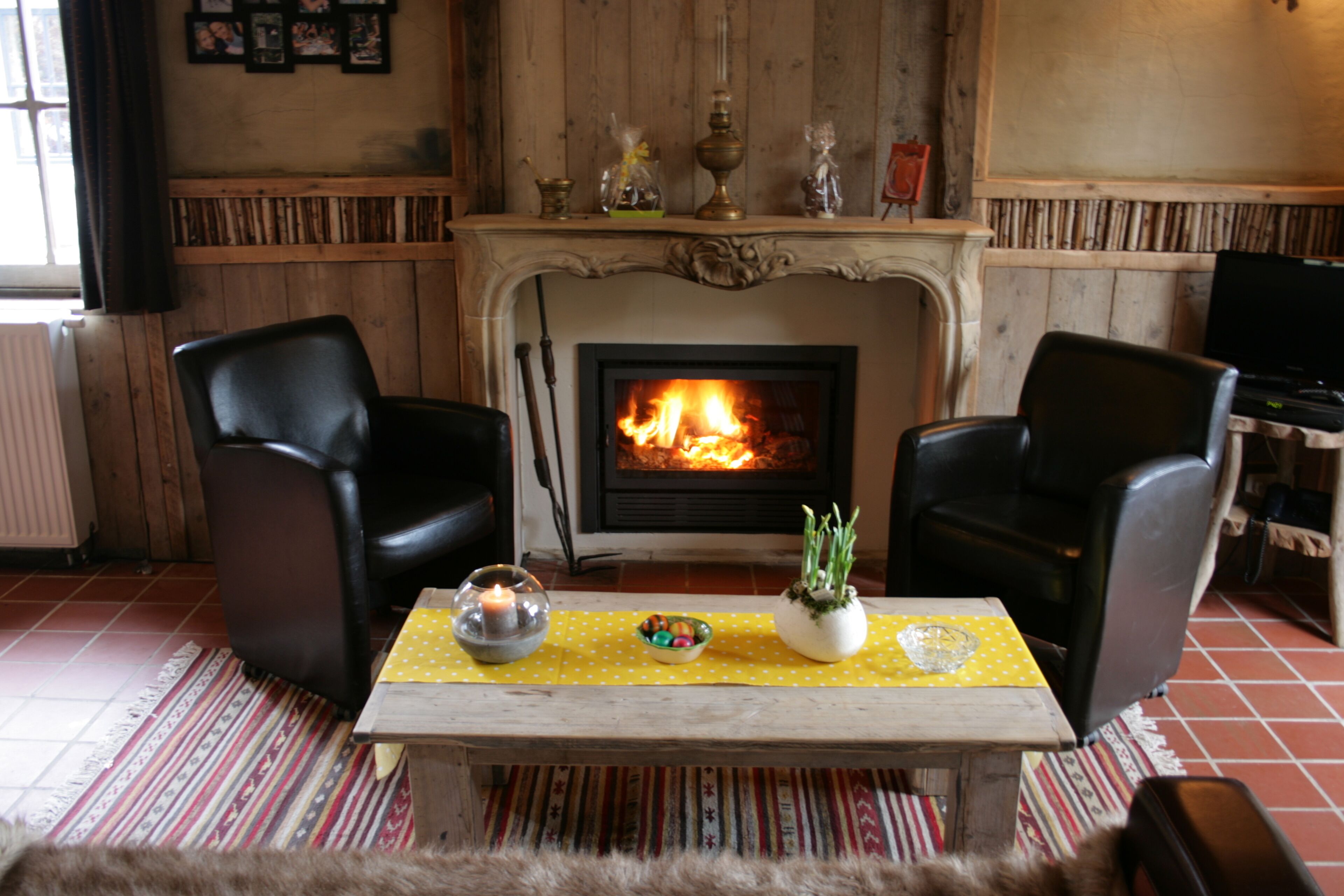 Télévision, cheminée, lecteur de DVD, livres