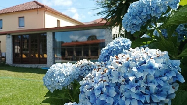 Una casa amb piscina, un jardí amb flors d'hortènsia blava i un cel serè.