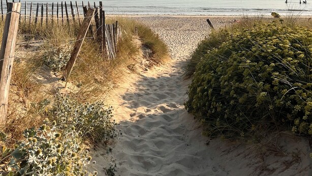 Un sentier de sable qui longe la plage et mène à la mer, avec une clôture en bois sur la gauche et une végétation luxuriante sur la droite.