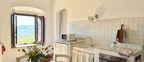Una cocina con vistas, una mesa de comedor con un florero, un microondas y un fregadero.