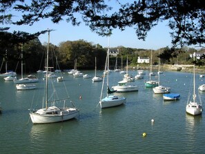 Un port de plaisance où sont amarrés de nombreux voiliers.