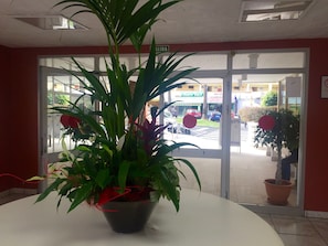 Intérieur