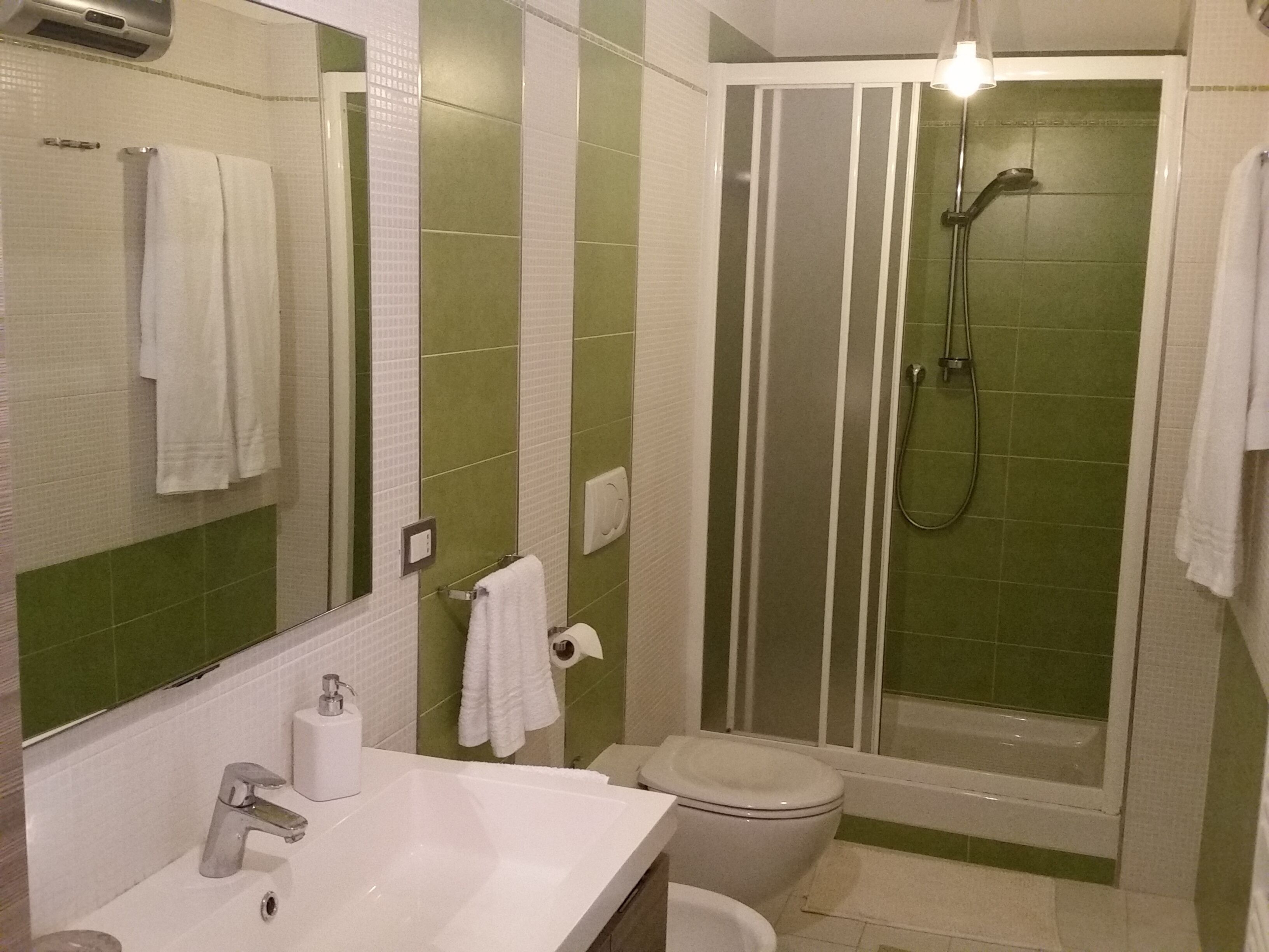 Un baño con ducha, inodoro, lavamanos y espejo.