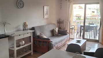 TV, DVD player, books, video library