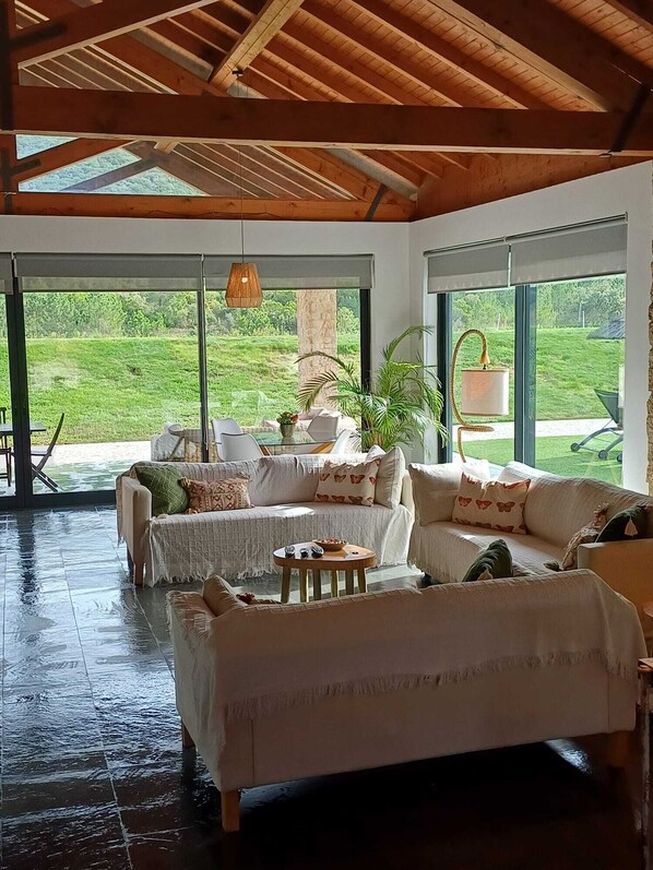 TV connectée, cheminée