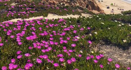 FALÉSIA BEACH HOUSE V3 200 M BEACH, POOL, GARDEN, FIREPLACE BARBECUE