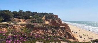 FALÉSIA BEACH HOUSE V3 200 M BEACH, POOL, GARDEN, FIREPLACE BARBECUE