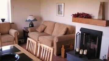 Télévision, cheminée, lecteur de DVD