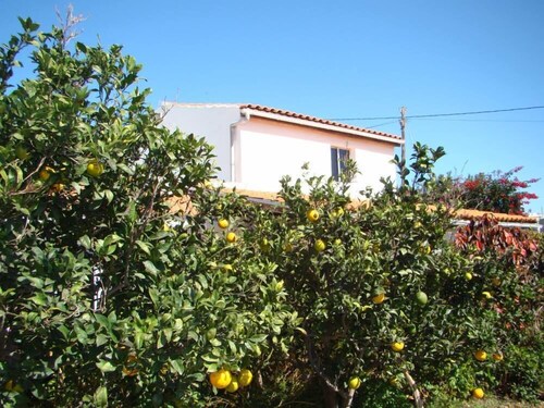 Quiet gîte in the middle of an orchard with swimming pool
