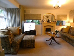 Smart TV, chimenea y libros 