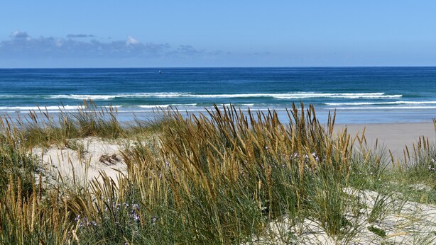 Strand
