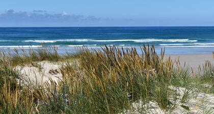 Maison avec grand jardin