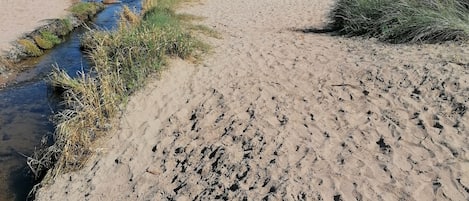 Vlak bij het strand