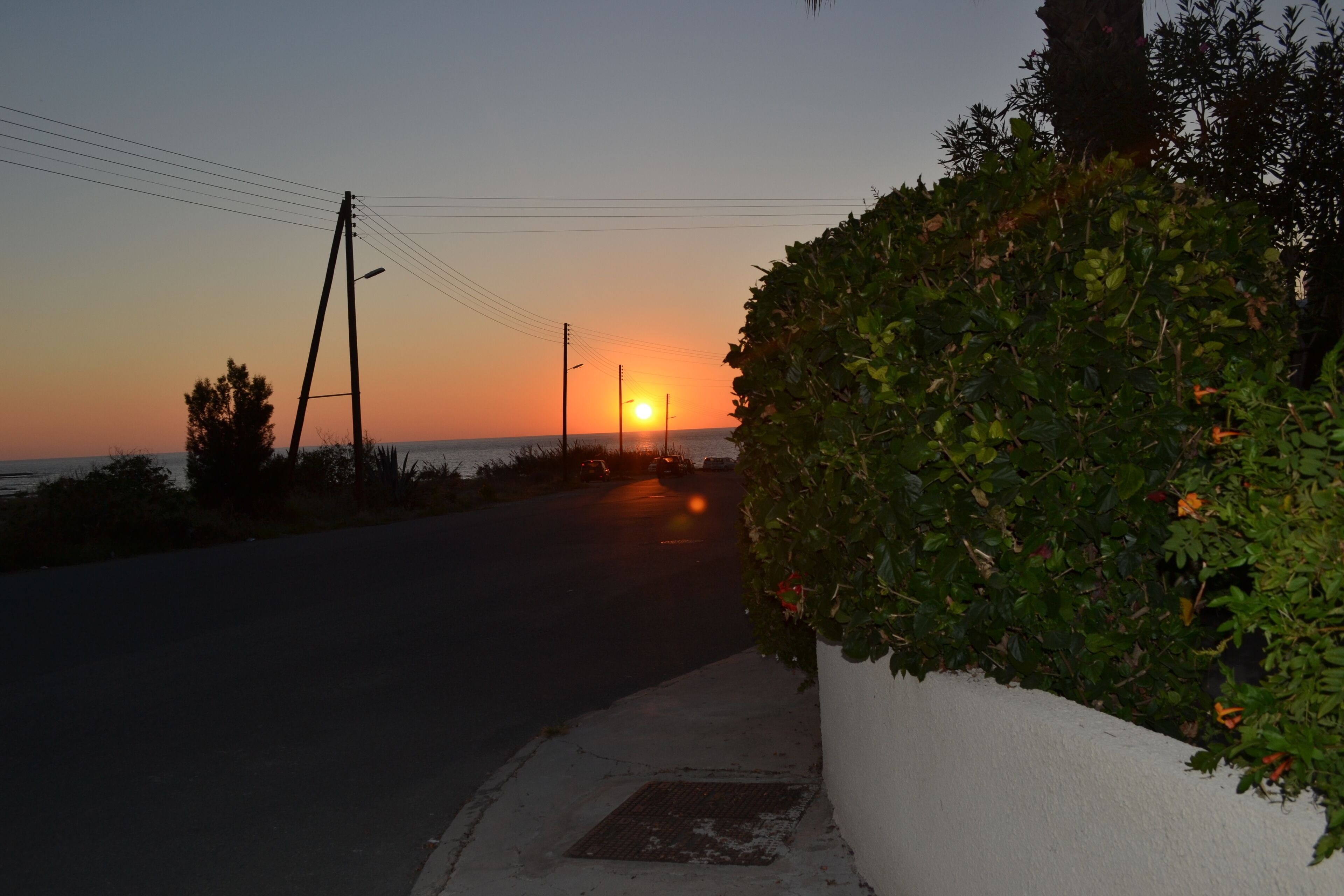 A sunset view with a road, a hedge, and a utility pole.