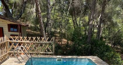 Country house with forest and swimming pool, near the beach (pet friendly).
