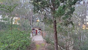 Une petite cabane rustique, accessible par un sentier de terre, et entourée d’une forêt dense.
