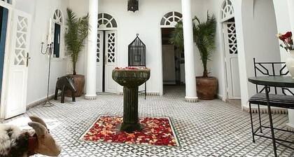 Light filled riad, 5 bedrooms, sleeps 10