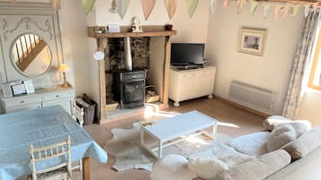 Télévision, cheminée, lecteur de DVD, livres