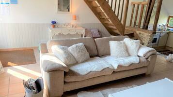 Télévision, cheminée, lecteur de DVD, livres