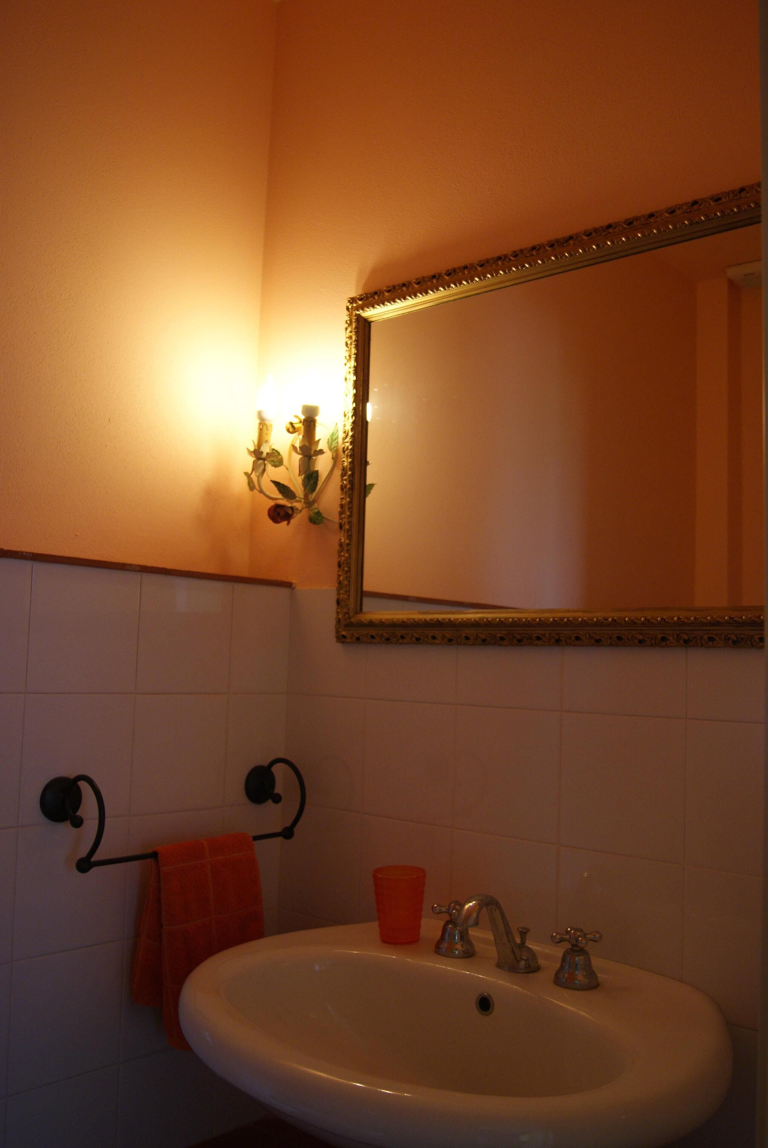 Une salle de bain avec un lavabo blanc, un miroir doté d’un cadre doré et un luminaire fixé au mur.