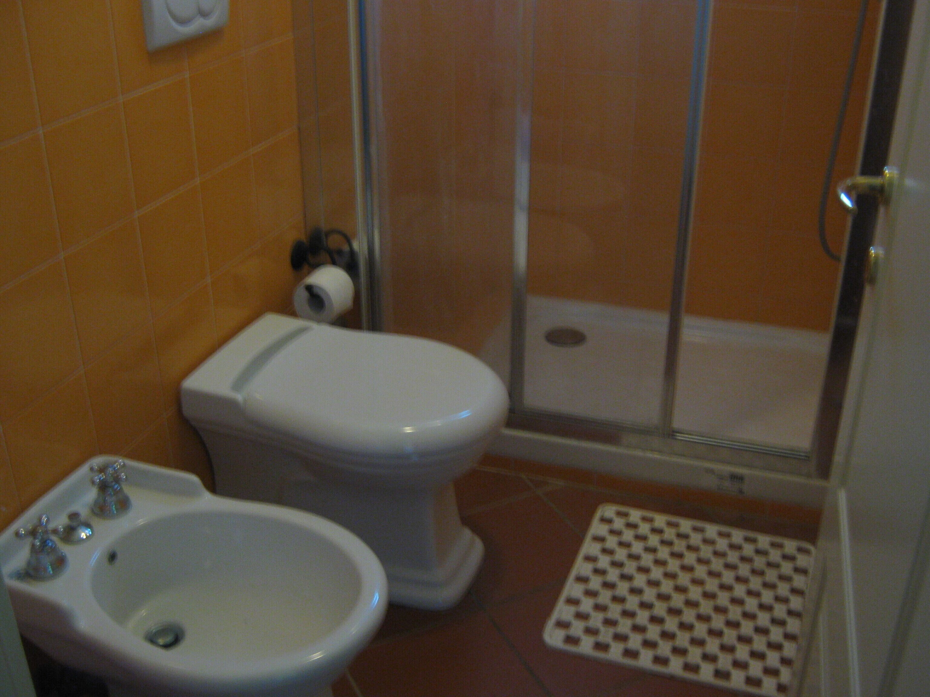 A bathroom with a toilet, bidet, and shower.