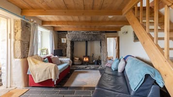 TV, fireplace, DVD player