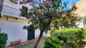 A courtyard with a tree, a bench, and a building with a white facade and green shutters. - Stately residence in the center, with garden (Vasto)