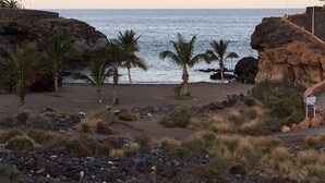 A rocky beach with palm trees and a view of the ocean. - Spacious 2 bedroom apartment, large terrace, sea view, Paraiso II complex (Adeje)
