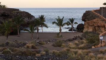 Una playa rocosa con palmeras y vista al océano.