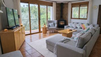 TV connectée, cheminée, jeux vidéo, Netflix