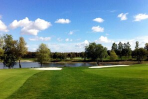 Golf - Large house for families up to 24 pax. 15 minutes from Salamanca. Barbecue, A/C and WIFI (Almenara de Tormes)
