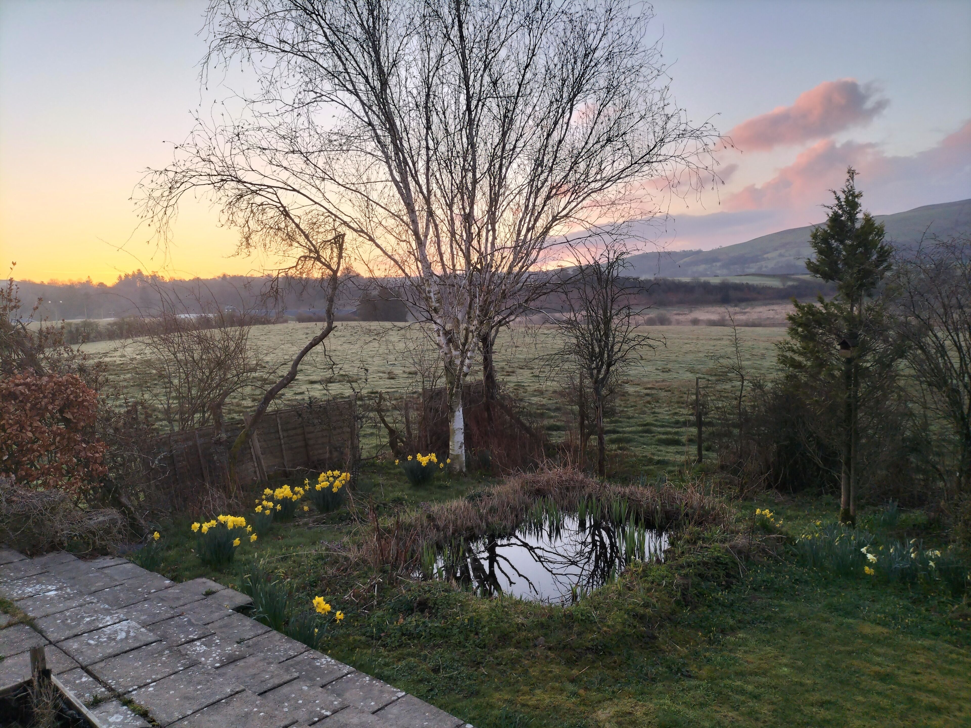 Spring pond