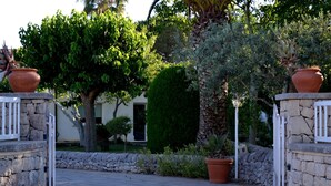 A stone gate leading to a paved area with potted plants and a well-maintained hedge.