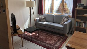 Un salon comprenant un canapé, une lampe sur pied, un téléviseur, une bibliothèque et une fenêtre avec des rideaux.
