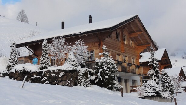 Un grand chalet en bois, doté d’un toit en pente, entouré d’arbres couverts de neige et d’un mur en pierre.