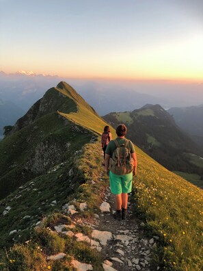 Miscellaneous - Cozy apartment with a beautiful view, quiet location. (Habkern)