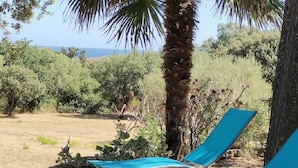 Deux fauteuils bleus confortables, placés sous un palmier dans un jardin offrant une vue sur la mer.