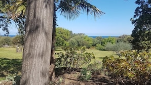 Un sentier bordé d’arbres mène à une zone herbeuse d’où l’on peut admirer l’océan.