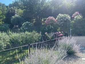 A garden with various plants and a metal fence. - House / Villa - CRESTET (Crestet)