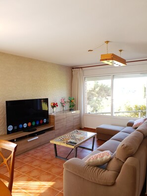 Een smart-tv, een dvd-speler, boeken en een filmbibliotheek