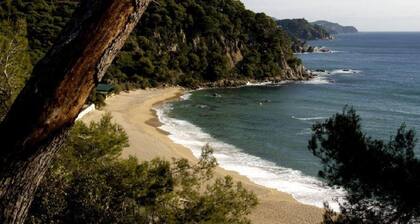 Villa Vivalavida loma-asunnot talo 1 km rannalta. Pääaine 25+