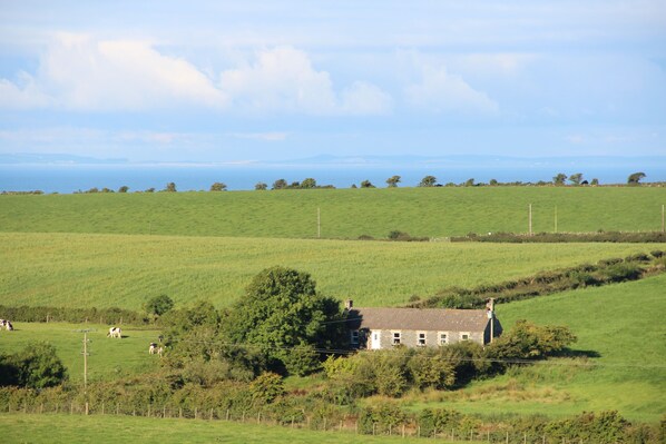 Un paysage rural avec une maison entourée de champs verdoyants et d’arbres.