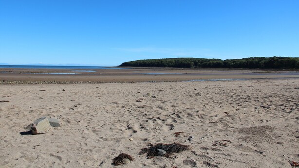 Ein sandiger Strand mit vereinzelten Felsen und Seetang.