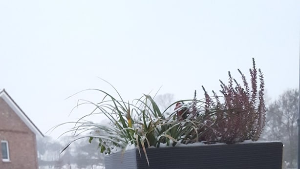 Un grand bac à fleurs avec le mot « MOIN » écrit sur le sol à côté.