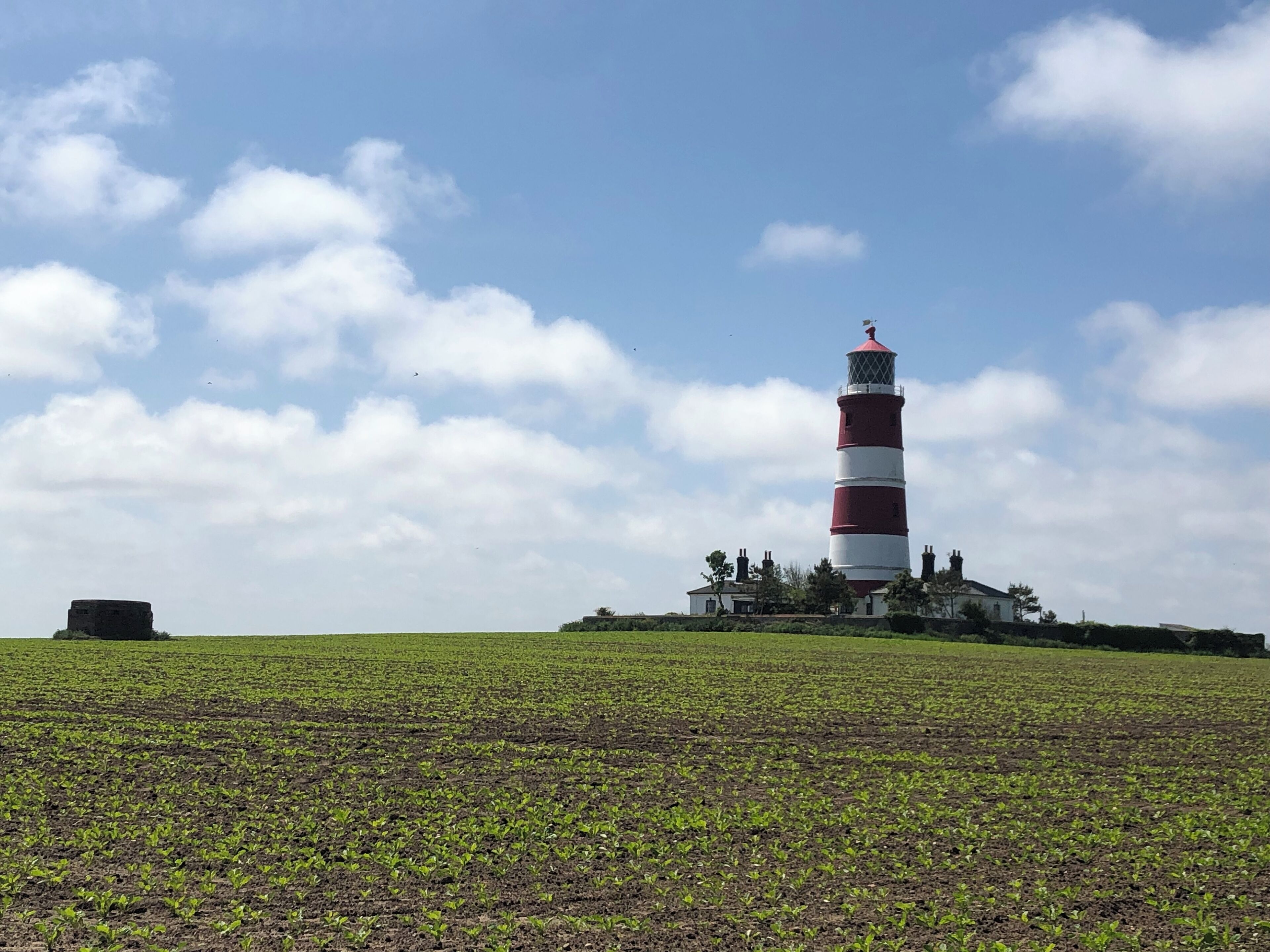 Un phare doté d’une tour rayée de rouge et de blanc, entouré d’un champ verdoyant et de quelques arbres.