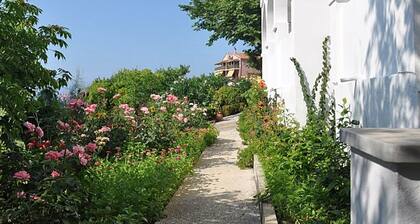Villa Anneta, Gardeno Beach Corfu - Studio 2/3 person , 1 Bedroom, 1 Bathroom
