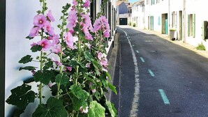 Immagine non classificata, 4 di 42, pulsante