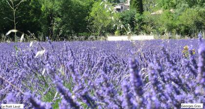 Le Mas des Restanques 3*,located in one of the most beautiful villages in France