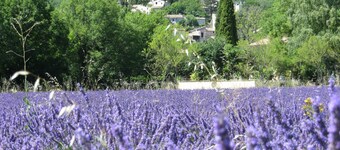 Le Mas des Restanques 3*,located in one of the most beautiful villages in France