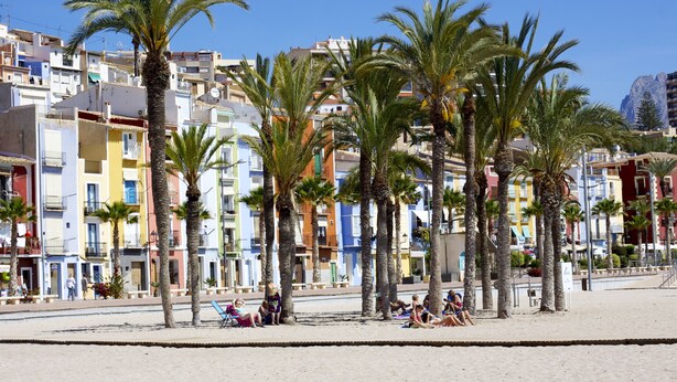 Ein Strand mit Palmen und bunten Gebäuden.